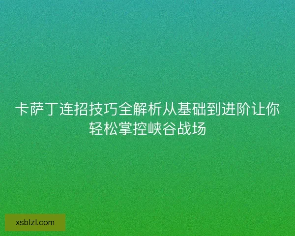 卡萨丁连招技巧全解析从基础到进阶让你轻松掌控峡谷战场