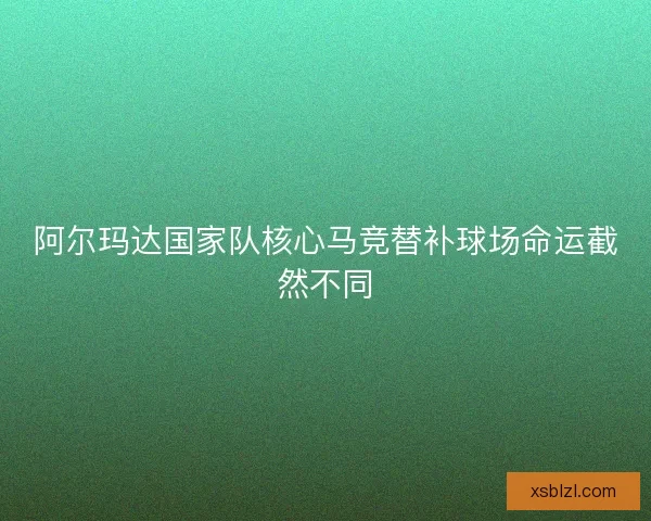 阿尔玛达国家队核心马竞替补球场命运截然不同