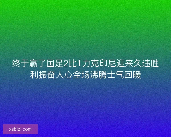 终于赢了国足2比1力克印尼迎来久违胜利振奋人心全场沸腾士气回暖