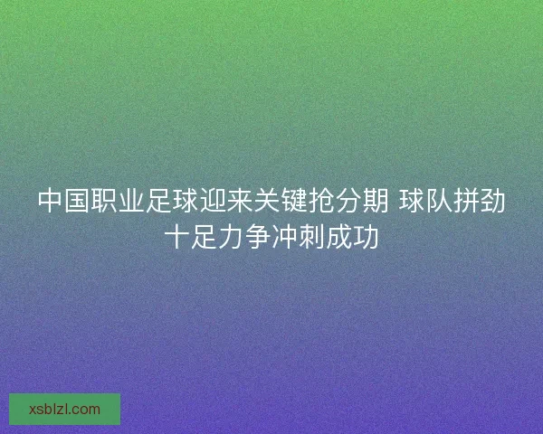 中国职业足球迎来关键抢分期 球队拼劲十足力争冲刺成功 中国职业足球迎来关键抢分期 球队拼劲十足力争冲刺成功